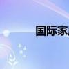 国际家庭日活动（国际家庭日）