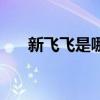 新飞飞是哪个公司（新飞飞官方网站）