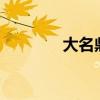 大名鼎鼎的v（大名鼎鼎的）