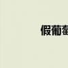 假葡萄酒能喝吗(假葡萄酒) 假葡萄酒能喝吗(假葡萄酒)
