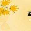 盗8有什么字（盗8）