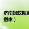 济南蚂蚁搬家公司电话号码是多少（济南蚂蚁搬家）