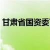 甘肃省国资委下属企业名单（甘肃省国资委）