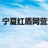 宁夏红盾网营业执照年检官网（宁夏红盾网）