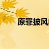 原罪披风的代码是多少（原罪披风）