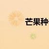 芒果种子长什么样（芒果种子）