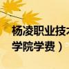 杨凌职业技术学院学费2022（杨凌职业技术学院学费）