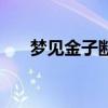 梦见金子断了是什么预兆（梦见金子）