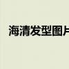 海清发型图片短（海清的发型是什么发型）