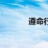遵命行事造句子（遵命行事）