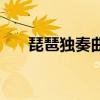 琵琶独奏曲春江花月夜（琵琶独奏曲）