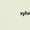sylvie钱夹（brazza钱夹）