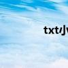txt小说转换jar（txt转jar）