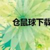 仓鼠球下载安装（仓鼠球2010中文版）