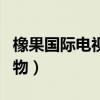 橡果国际电视购物历年合集（橡果国际电视购物）