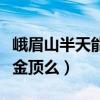 峨眉山半天能直接去金顶吗（峨眉山一天能上金顶么）