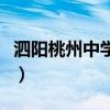 泗阳桃州中学是公办还是民办（泗阳桃州中学）