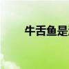 牛舌鱼是海鱼还是淡水鱼（牛舌鱼）