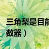 三角梨是目前最大的原装素材分享（三角梨计数器）
