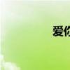 爱你的歌词（爱你的歌）
