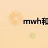 mwh和mah有什么区别（mw）