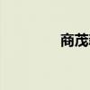 商茂新园租房（商茂新园）