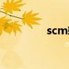 scm软件排名（scm软件）