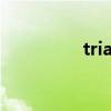 trial and error（trial）