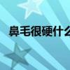 鼻毛很硬什么原因(鼻毛很硬的和针一样) 鼻毛很硬什么原因(鼻毛很硬的和针一样)