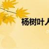 杨树叶人能吃吗（杨树叶能吃吗）