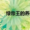 绿帝王的养殖方法和注意事项（绿帝王）