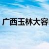 广西玉林大容山森林公园（大容山森林公园）