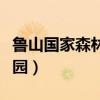 鲁山国家森林公园电话号码（鲁山国家森林公园）