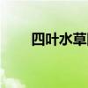 四叶水草图片大全（水草图片大全）