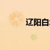 辽阳白塔建于哪年（辽阳白塔）