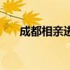 成都相亲进行时吧（成都相亲进行时）