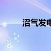 沼气发电机工作原理（沼气发电）
