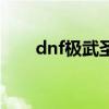 dnf极武圣用什么武器（dnf极武圣）