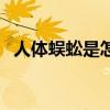 人体蜈蚣是怎么个联法（人体蜈蚣怎么样）