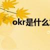 okr是什么意思中文（okr是什么意思）