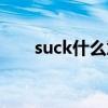 suck什么意思英文（suck什么意思）