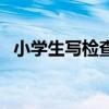 小学生写检查承认错误（写检查承认错误）
