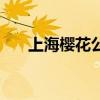 上海樱花公园叫什么（上海樱花公园）