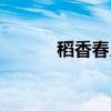 稻香春月饼礼盒价格（稻香春）