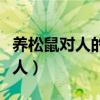 养松鼠对人的巨大危害(松鼠一般养多久认主人) 养松鼠对人的巨大危害(松鼠一般养多久认主人)