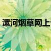 漯河烟草网上订货流程（漯河烟草网上订货）
