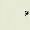 驴子藏獒（驴系藏獒）