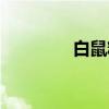 白鼠精是哪一集（白鼠精）