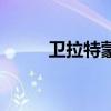 卫拉特蒙古人长相（蒙古人长相）
