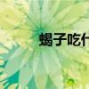 蝎子吃什么东西呢（蝎子吃什么）